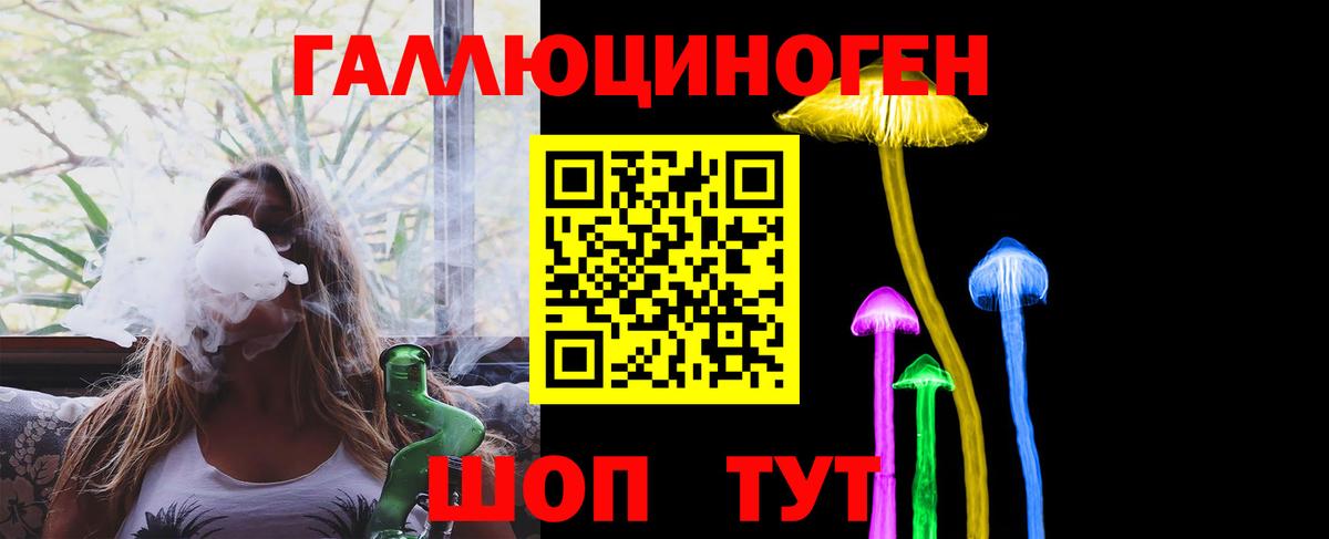 Тольятти  Псилоцибиновые грибы Psilocybe  Вход с VPN 